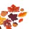 Fall Leaves Stickers by Recollections™